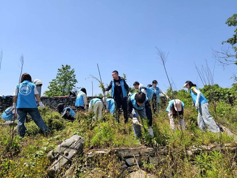 番号
学生在石漠化严重的撂荒地开展劳动2